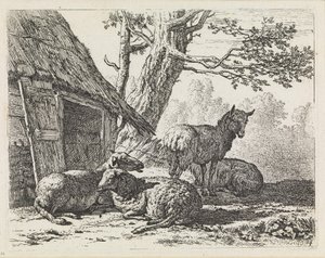  da Karel Dujardin