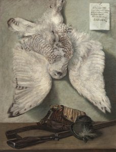 Gufo delle nevi da Karel Purkyne