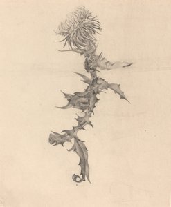 Cardo da Karel Vitezslav Masek