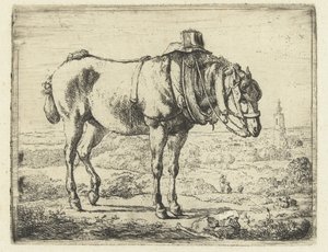 Cavallo bardato come cavallo da lavoro
