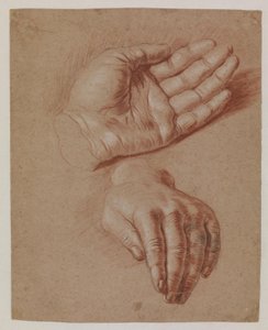 Studi di due mani