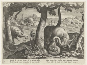 Elefante in lotta con serpente da Karel van Mallery (attributed to)
