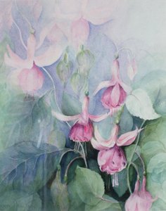 Fucsia, cocchiere rosa da Karen Armitage