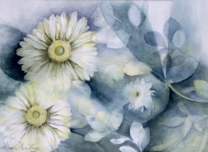 Gerbera Jameson II da Karen Armitage