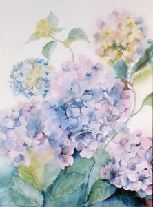 Ortensia, Blue Wave I