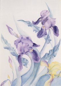 Iris, Mare blu da Karen Armitage