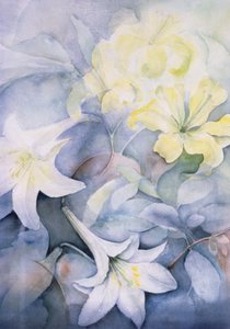 Lilium, Hearts Desire e Imperiale