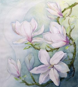Magnolie da Karen Armitage