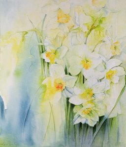 Narcisi e fresia