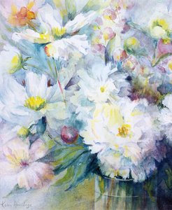 Peonie - Festiva Maxima