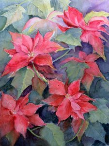 Stella di Natale da Karen Armitage