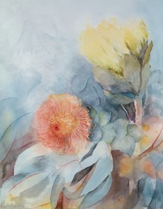 Protea del Sud Africa da Karen Armitage