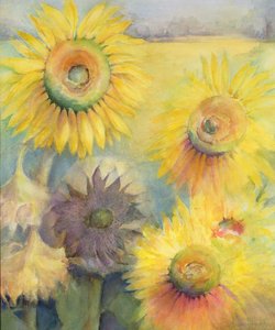 Girasoli