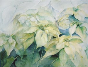 Stella di Natale bianca (orizzontale) da Karen Armitage