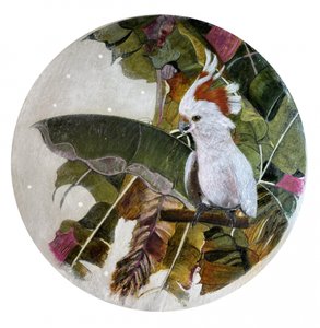 Cacatua bianca nella giungla da Karenina Fabrizzi