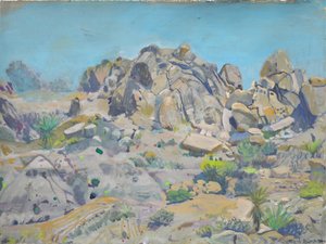 Formazioni rocciose del deserto