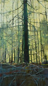 Luce eterea della foresta