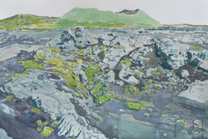 Paesaggio vulcanico ricoperto di muschio