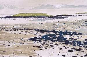 Una tranquilla spiaggia battuta dalle maree