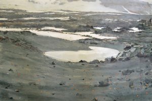 Paesaggio della tundra desolata
