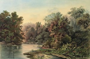 Scena forestale sul Lehigh, Pennsylvania, tavola 1 dal volume 2 di 