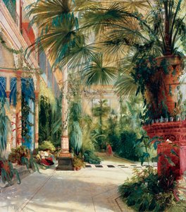 Interno della serra di palme