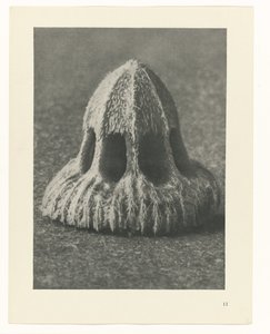 Studi di piante (serie Urformen der Kunst: immagini fotografiche di piante) da Karl Blossfeldt