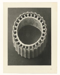 Studi di piante, Urformen der Kunst: fotografie di piante (titolo della serie)