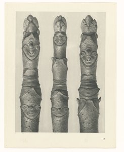 Studio di piante (serie Urformen der Kunst) da Karl Blossfeldt