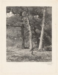 Una Radura nella Foresta da Karl Bodmer