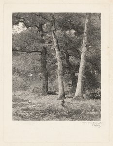  da Karl Bodmer