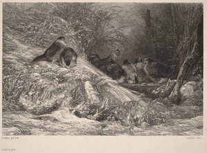  da Karl Bodmer
