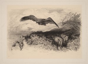  da Karl Bodmer