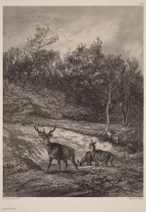  da Karl Bodmer