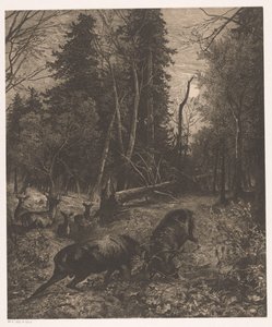 Bosgezicht con due cervi combattenti da Karl Bodmer