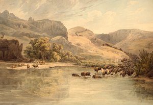  da Karl Bodmer