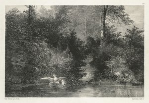 Anatre da Karl Bodmer