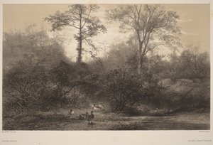  da Karl Bodmer