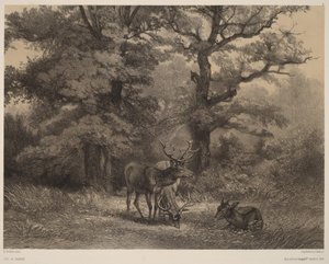  da Karl Bodmer