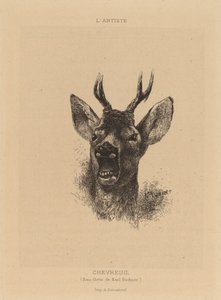 Capriolo