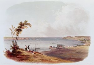 Ingresso alla Baia di New York, Staten Island, inciso da Salathe (litografia a colori)