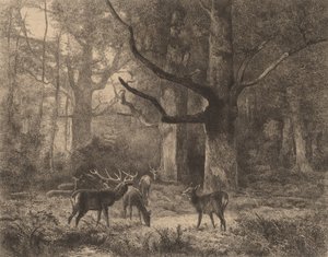 Foresta di Fontainebleau