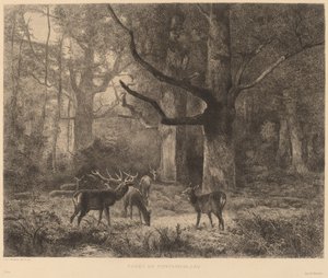 Foresta di Fontainebleau da Karl Bodmer