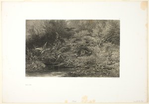 Volpe in agguato da Karl Bodmer