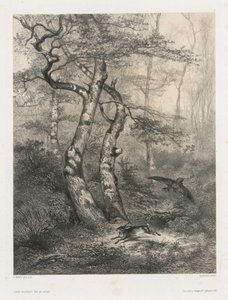 Lepre inseguita da un astore, 1858 da Karl Bodmer
