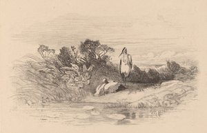 Aironi da Karl Bodmer