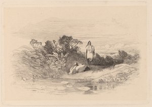 Aironi da Karl Bodmer