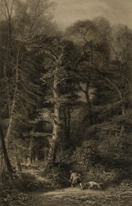Interno della foresta da Karl Bodmer