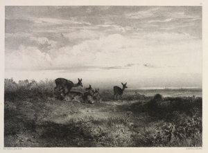Paesaggio con cervi da Karl Bodmer