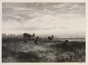 Paesaggio con cervi, c. 1840 da Karl Bodmer
